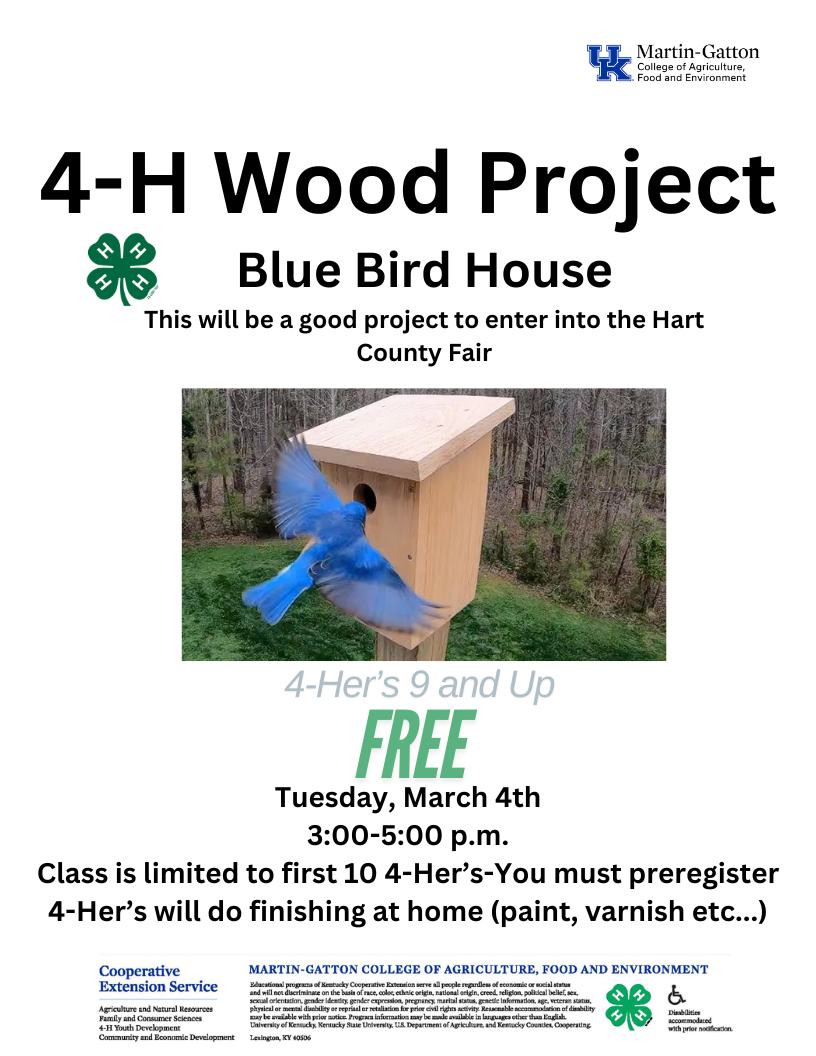 4-H Wood Project Bird House 