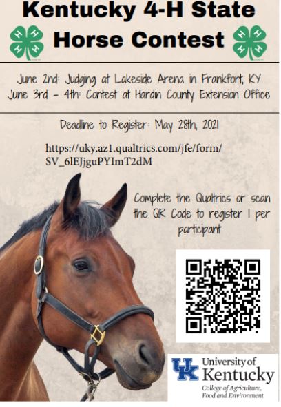  state horse contest flyer