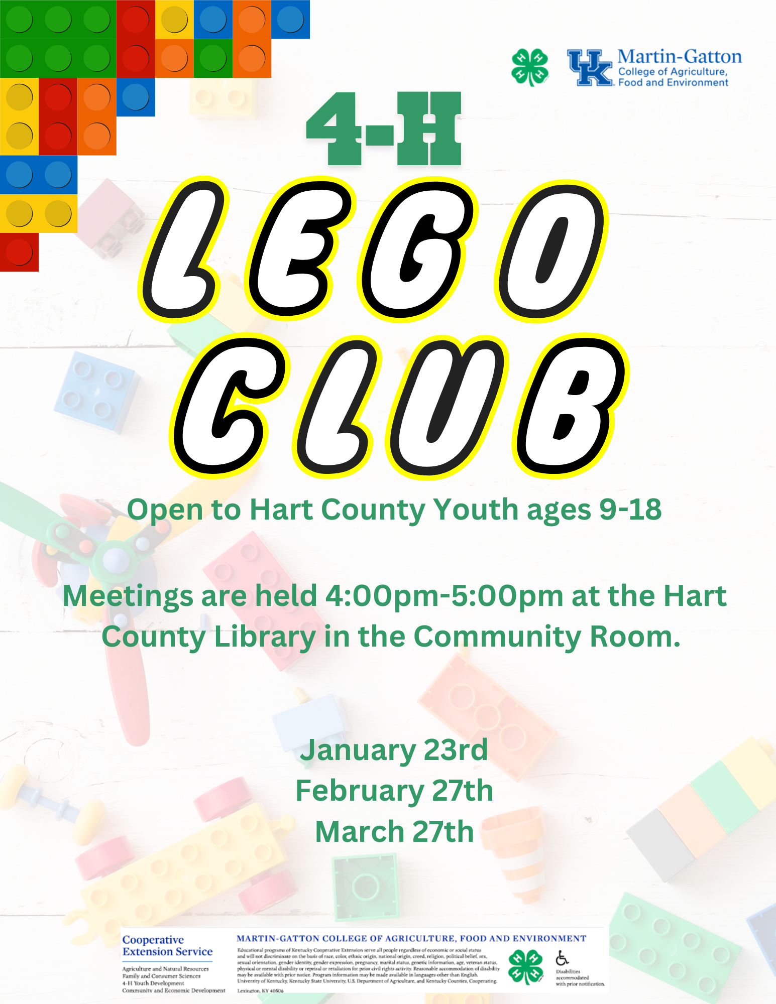 Lego Club Flyer