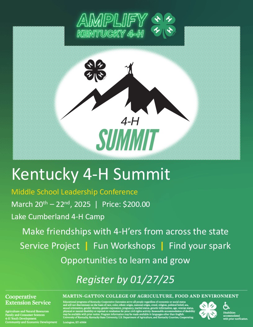 Teen Summit Flyer 