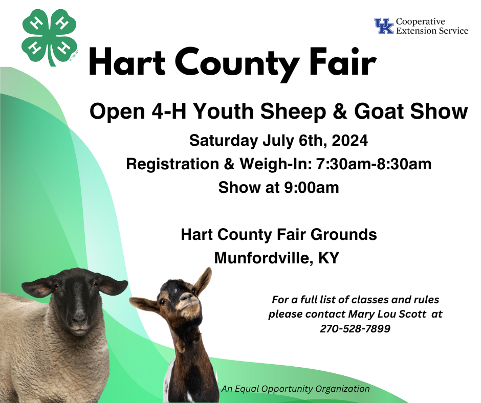 flyer for sheep and goat show 