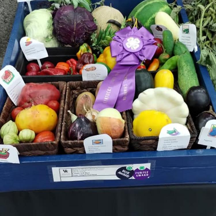  Box of mixed vegetables with purple ribbon
