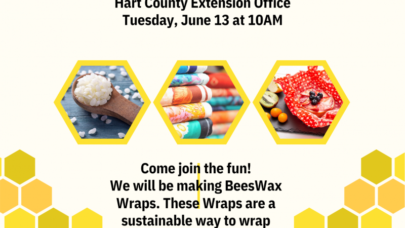 DIY Beeswax Wraps